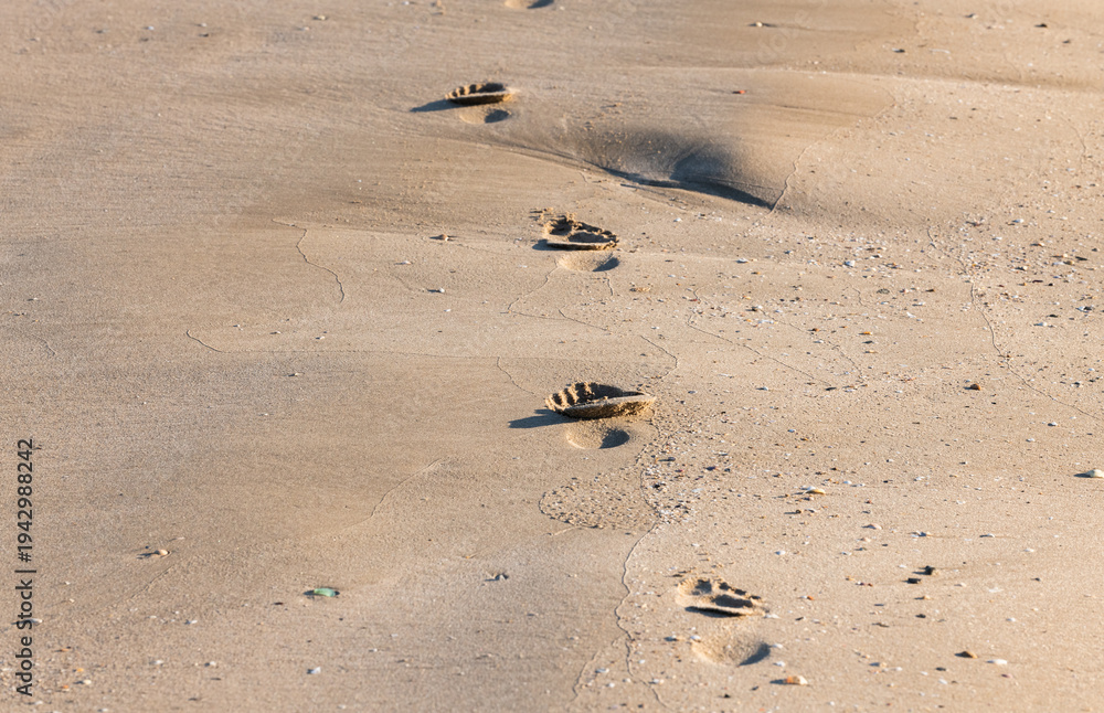 Obraz premium Woman Footprints Walking on Sandy Beach – Summer Travel Concept