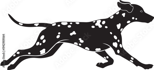 A black and white dalmatian dog running isolated on transparent background, Vector