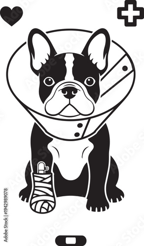 A french bulldog with a bandaged leg and cone of shame isolated on transparent background, Vector