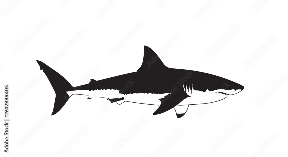 Fototapeta premium A stylized black and white graphic depiction of a great white shark swims horizontally across a plain background.