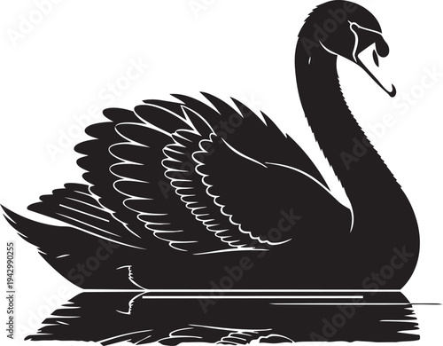 A black swan floating on water isolated on transparent background, Vector