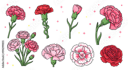 A colorful collection of hand-drawn carnation flowers in a modern flat style, perfect for floral design projects