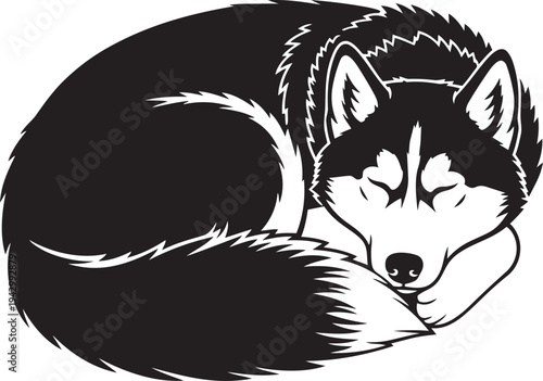 A black and white drawing of a sleeping husky curled up isolated on transparent background, Vector