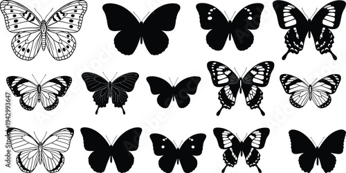 Butterfly silhouettes and line drawings with diverse wing shapes and patterns, representing entomology study, nature design, and decorative artwork