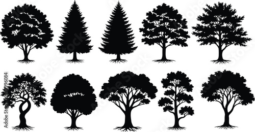Collection of diverse black tree silhouettes featuring coniferous and deciduous designs with visible roots, foliage, and branching vector illustration art