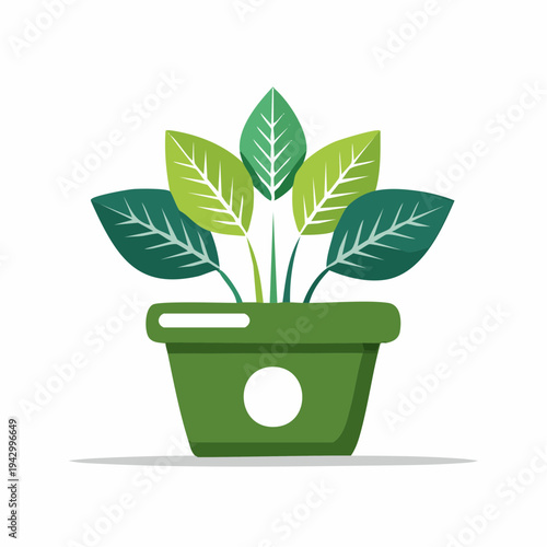 Vibrant green houseplant in a decorative pot bringing natural elements indoors, perfect for home decor concepts and healthy living