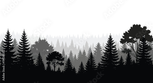 Dense forest landscape with layers of trees in dark silhouette