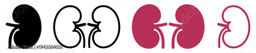 human kidney organ icon set