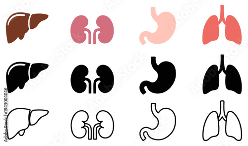 human internal organs icon set
