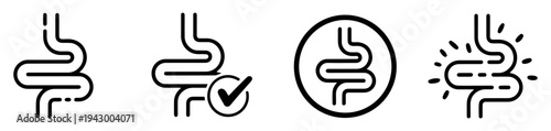 human intestine bowel organ icon set