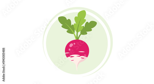 Red radish vegetable with green leaves inside a light green circle emblem for organic food and home gardening.