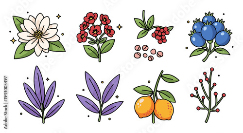 A vibrant collection of floral and fruit illustrations in a playful, colorful style, ideal for nature-themed designs