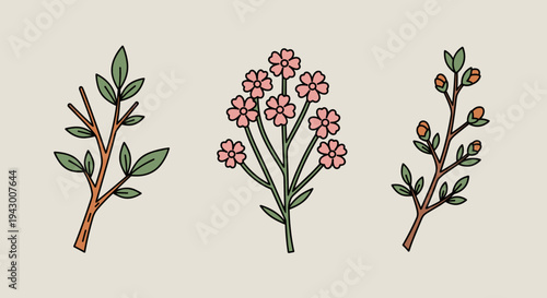 A collection of hand-drawn floral elements featuring branches and flowers in a modern, minimalist style