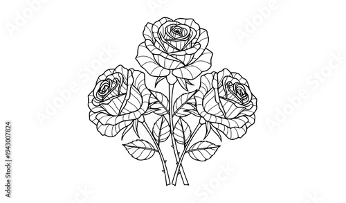 Rose bouquet coloring page vector illustration black and white floral line art