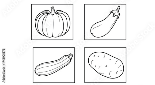 Set of vegetable line drawings including pumpkin eggplant zucchini and potato for kitchen decor coloring books and educational materials.