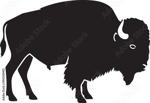 American Bison Standing Vector Silhouette Isolated on White