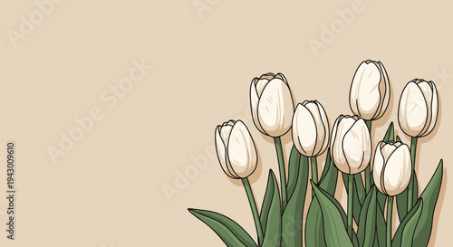 A beautiful arrangement of white tulips on a soft beige background, featuring a modern flat design style
