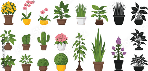Indoor potted plants collection, houseplant icons set with cactus flowers and decorative foliage for home garden decor, flat vector illustration