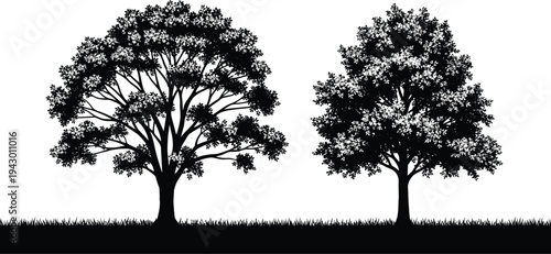 Black tree silhouette set with grass field isolated on white background for nature landscape design garden park outdoor environment and environmental conservation projects.