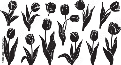 Black and White Tulip Silhouettes on Clean Background