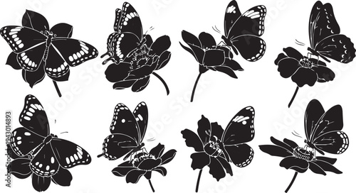 Butterfly Silhouettes on Flowers in Black and White Illustration
