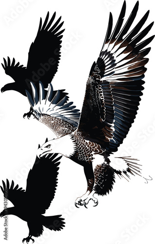 Flying eagle with spread wings vector illustration with additional eagle silhouettes, detailed raptor bird design symbolizing freedom, power, wildlife, and strength isolated on white background