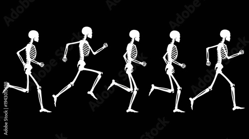 Five white human skeletons depicted in a sequential running motion against a stark black background, illustrating biomechanics.