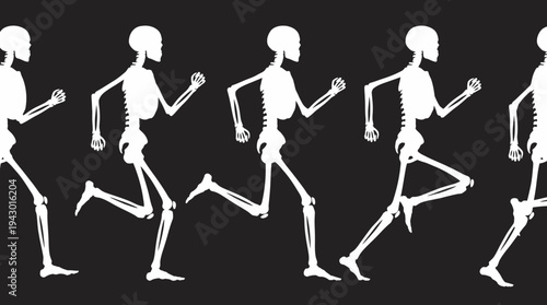 A sequence of white human skeletons running in various stages of motion against a dark black background, illustrating biomechanics.