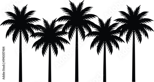 Tropical palm tree silhouette collection vector illustration, isolated black coconut palm trees set for summer beach design, exotic nature landscape element