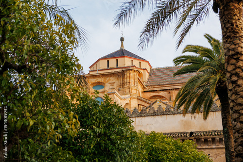 Wallpaper Mural Palm and citrus trees frame the octagonal dome and honey toned stone of Mezquita Catedral de Cordoba, Spain, with crenellated wall, Moorish arches, and Christian details. Torontodigital.ca