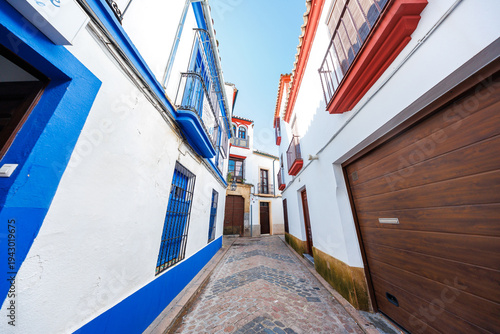 A narrow cobblestone alley in Cordoba, Spain, winds between whitewashed houses with cobalt and terracotta trims, wrought iron balconies, and arched entryways in bright daylight.