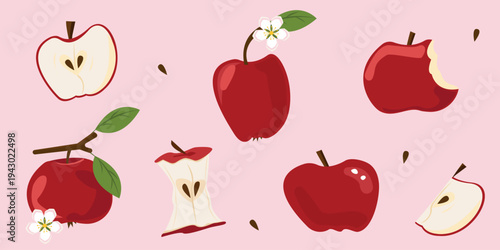 Red apple vector set with whole fruit, slice, core and bitten apple, cute stylized collection for food illustration, stickers and packaging design