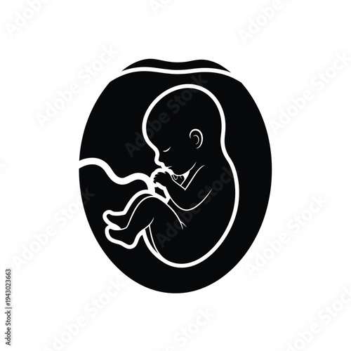Fetus in womb silhouette.