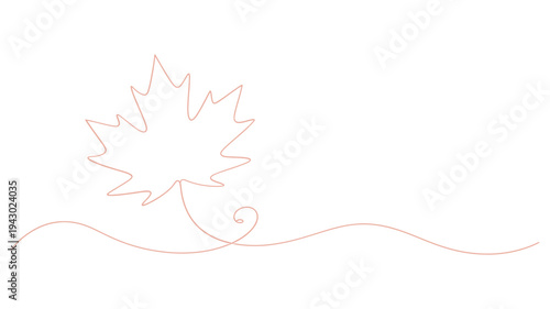Minimalist line drawing of a maple leaf with a delicate swirl