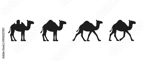 Black camel silhouettes collection showing dromedary in different walking poses and standing positions isolated on white background for desert travel design