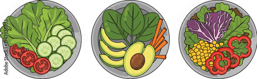 Hand Drawn Pine Cone Vector Illustration Set with Rustic Fir Tree Cones Pine Needles and Gold Stars for Christmas Winter Holiday Decorations and Autumn Forest Nature Designs