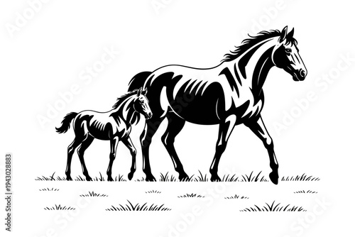 A horse silhouette illustration of a mother and foal in a field