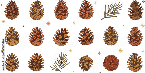 Hand Drawn Pine Cone Vector Illustration Set with Fir Tree Cones Pine Needles and Gold Stars for Christmas Winter Holiday Decorations and Autumn Forest Nature Designs