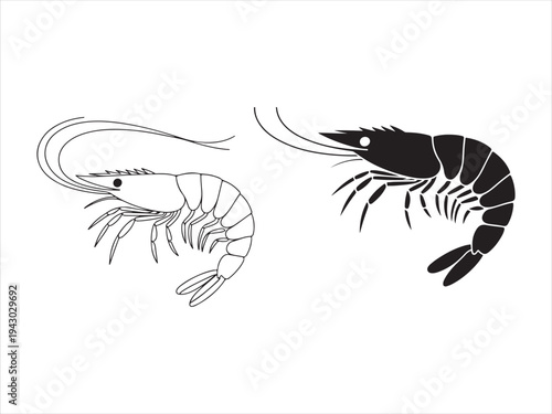 Shrimp icon set different style black and outline, Hand drawn shrimp or prawn vector set, showing seafood vector illustration