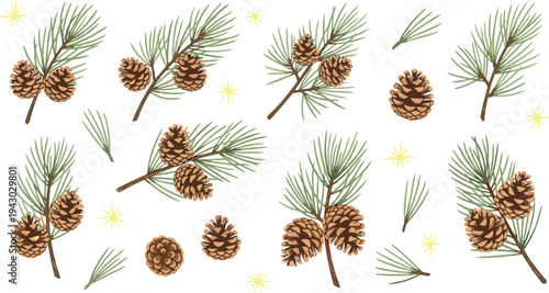 Pine Cone and Pine Branch Set with Needles Twigs Cones and Sparkles Vector Illustrations for Winter Holidays, Christmas Decor, Autumn Nature, Botanical Designs, Seasonal Patterns, and Forest Graphics