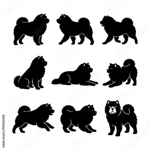 Chow Chow dog breed silhouettes. Vector collection of dog silhouettes in different poses.