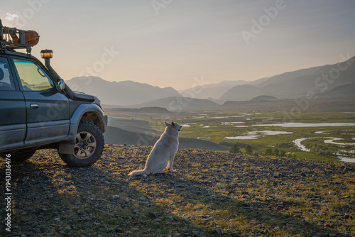 White dog sitting on edge of mountain plateau near off-road 4x4 SUV with roof rack overlooking scenic winding river valley and distant peaks during overland adventure journey at sunset.