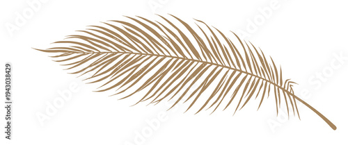 Beige tropical palm leaf silhouette isolated on transparent background png, detailed botanical element ideal for summer designs, beach themes, tropical graphics and branding