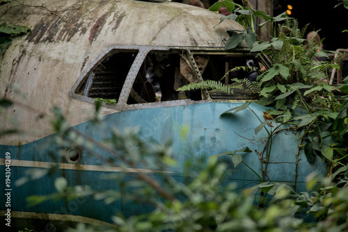Slika na platnu crashed plane in jungle