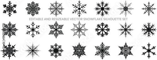 Snowflake Winter Christmas Silhouette Vector Set