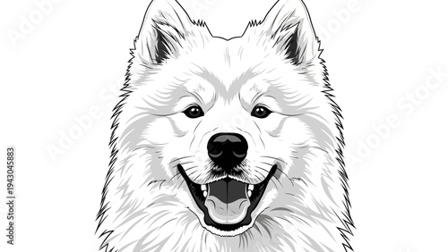 Wallpaper Mural Happy Samoyed Dog Portrait, Black and White, Smiling Dog Face, Fluffy White Fur Torontodigital.ca