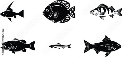 black and white fish silhouettes on white background