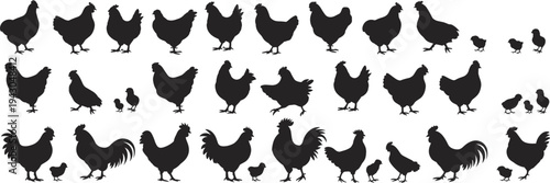 Chicken Rooster Hen and Chick Silhouettes Collection with Farm Poultry Birds in Various Poses Isolated for Agriculture Design
