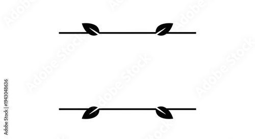 Decorative flourish with leaves separating two sections, minimalist design, elegant dividers
