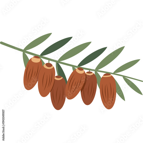 Date Branch Illustration: A vibrant illustration showcasing a date branch adorned with ripe dates, highlighting the natural beauty and abundance of the desert.